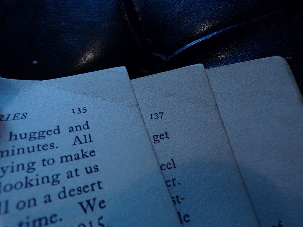 1919 What the "Boys" Did Over There by "Themselves" WWI Allied Overseas Stories