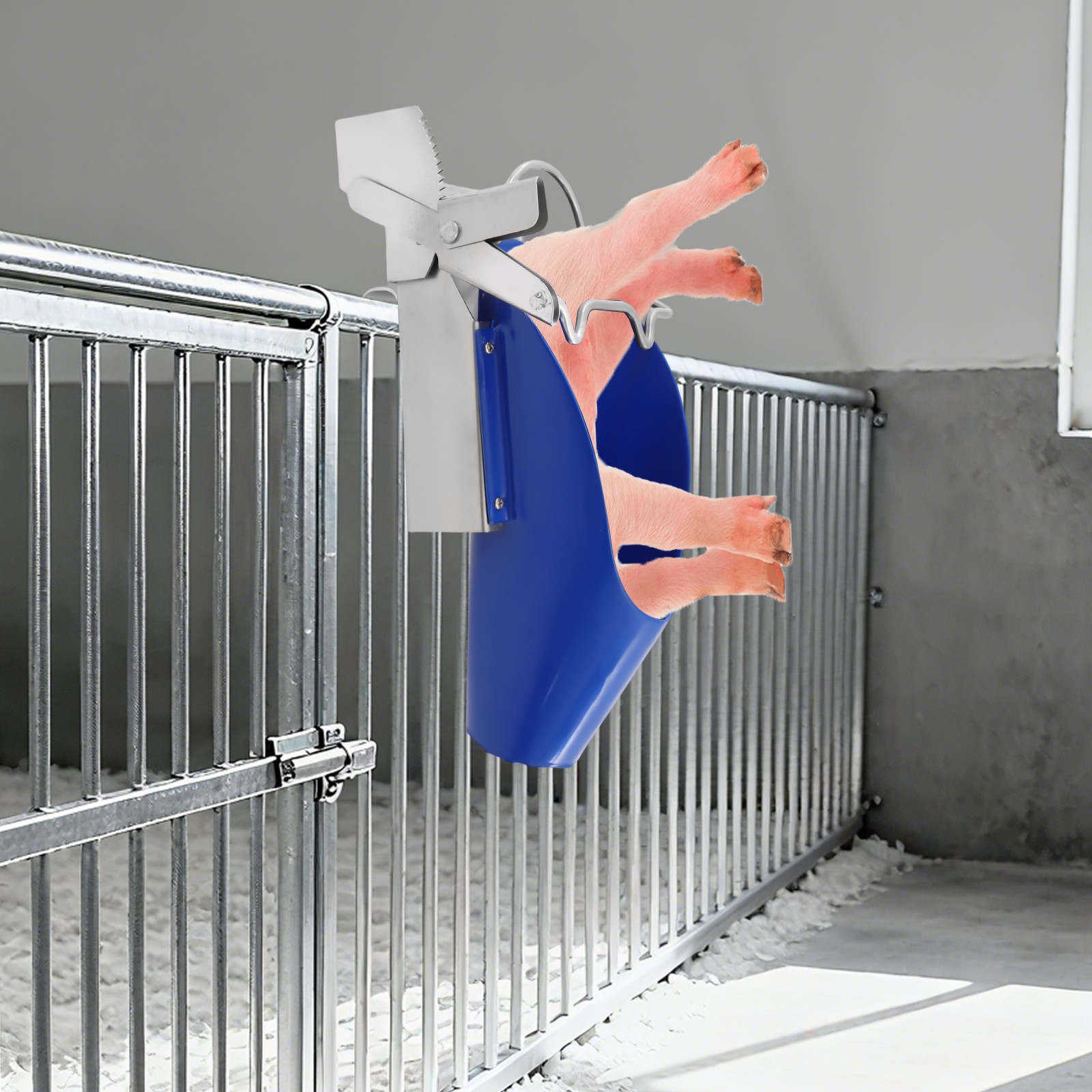 Piglet Castration Rack Pig Sterilization Tool Pig Castration Processing Facility