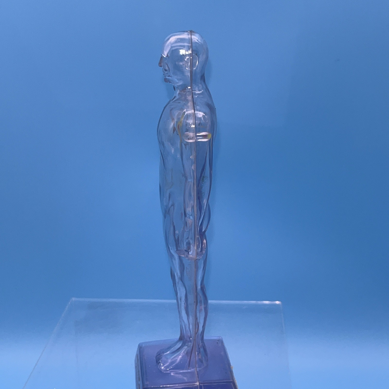 1968 Diuril Drug Rep Advertising Clear Human Body Figure Blood Pressure Medicine