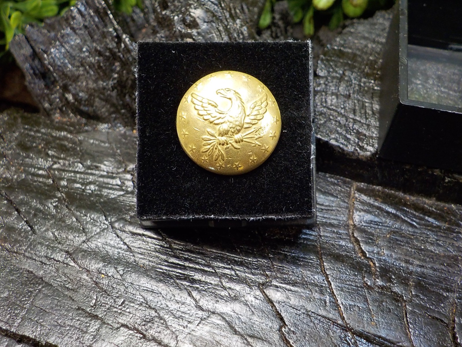 Old Rare Vintage Antique Relic Pre Civil War Militia Officers Coat Button w/Gold