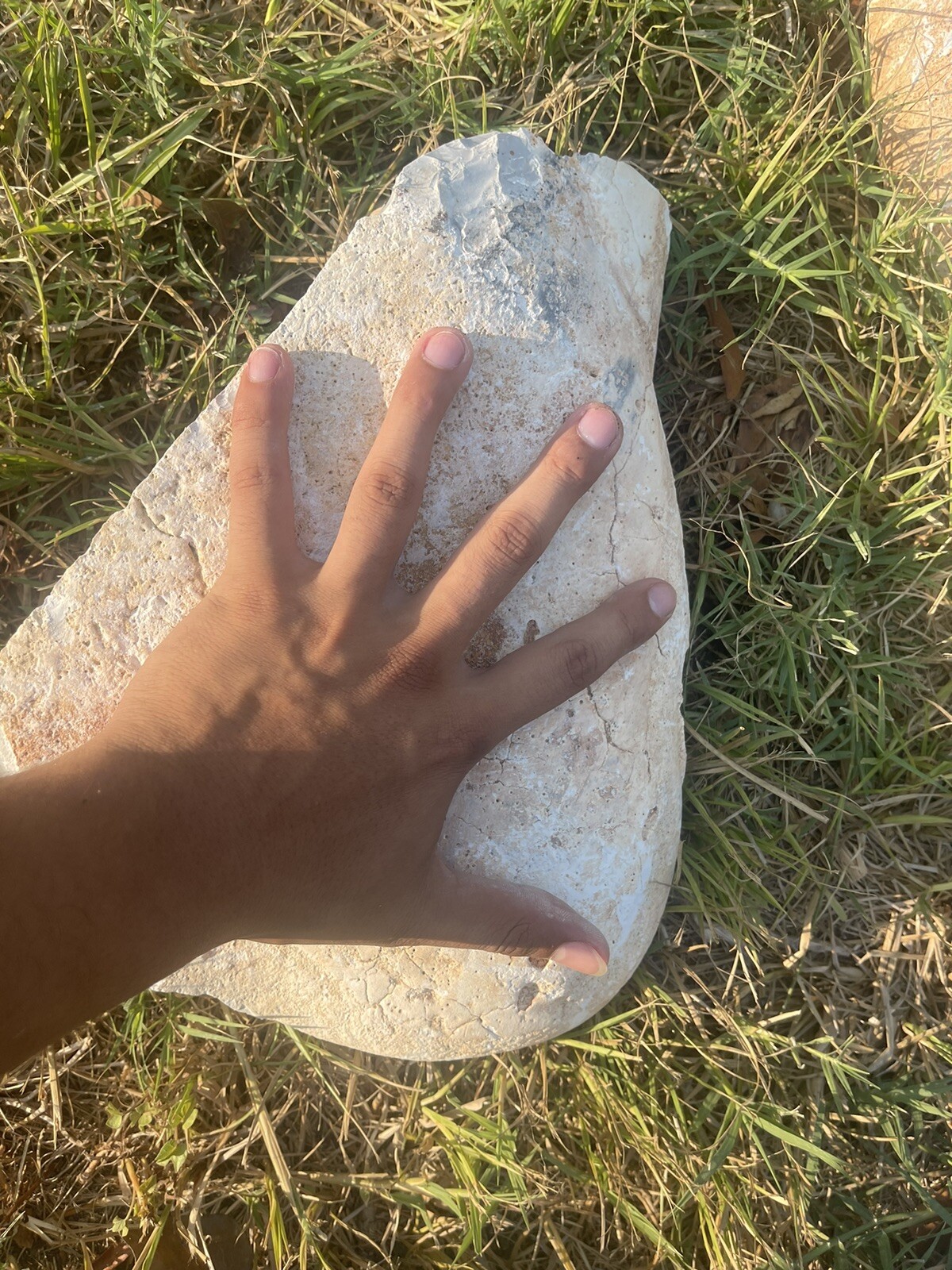 12 Pounds Of High Quality Georgetown Flint ( Whole Rock) Flint Knapping