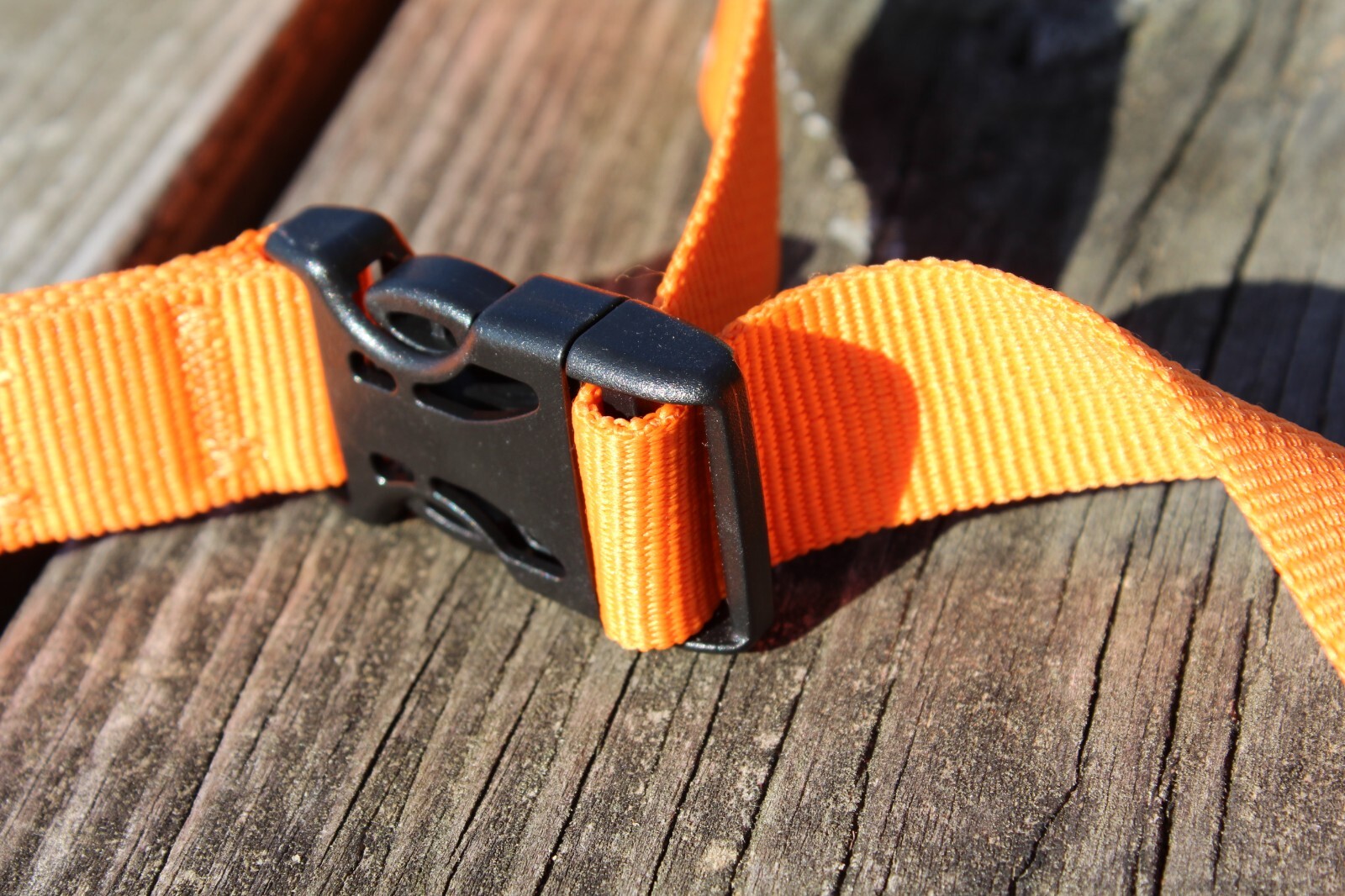 Hands Free Running Walking Dog Leash/Lead Bungee Orange Stretch