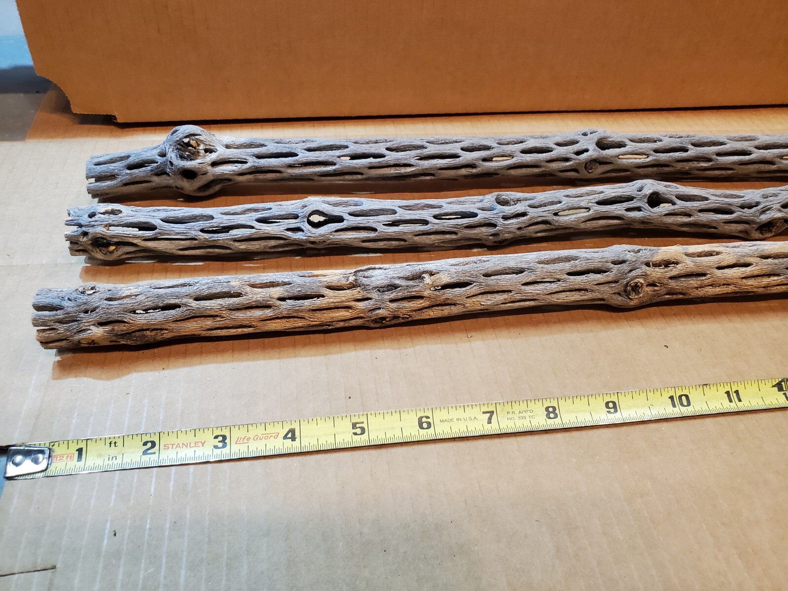 NEW! 3 CHOLLA Wood Pieces 24" inch EXTRA LONG Straight | Organic Aquarium Craft