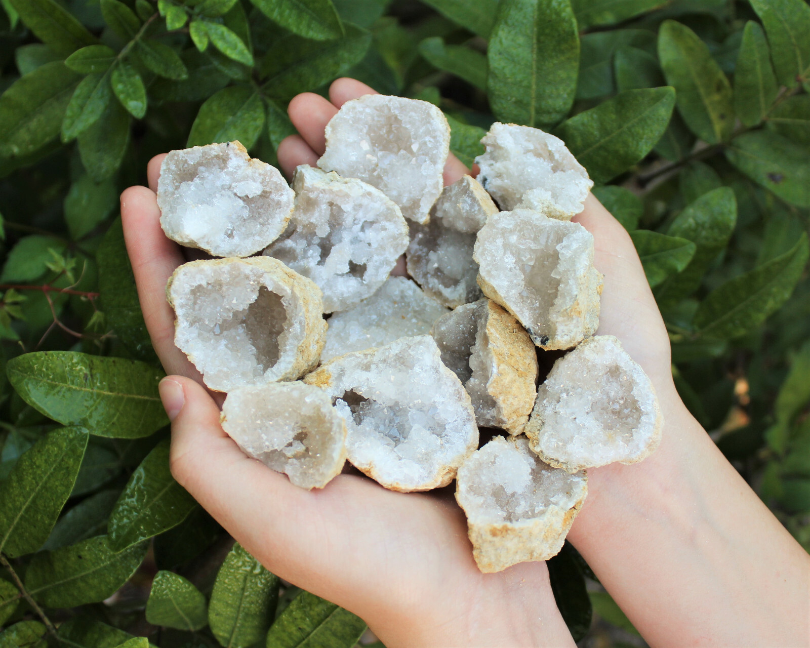 Break Your Own Geodes Gift Box (8 - 12 pcs) Large Unopened Moroccan Crystals