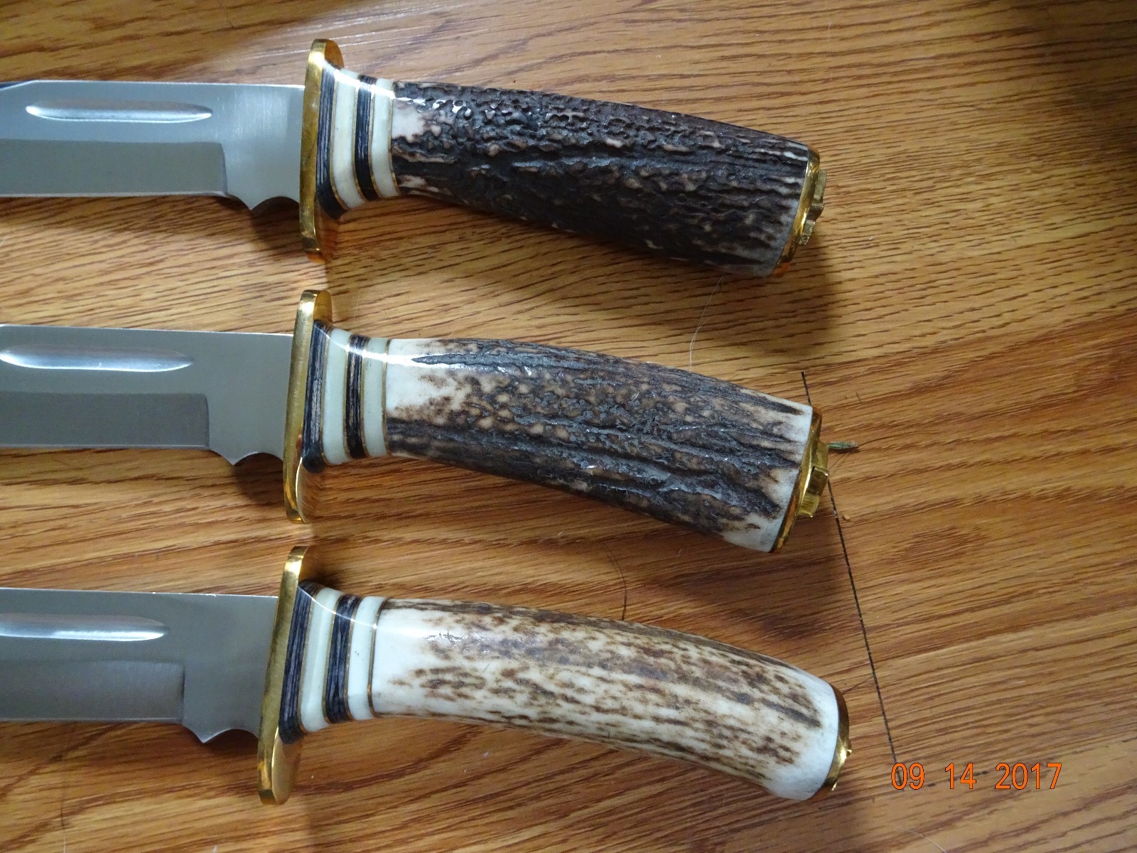 STEEL STAG 10 1/2' FIXED BLADE KNIFE ELK ANTLER HANDLE 440S.S. BLADE LEATHER SHE