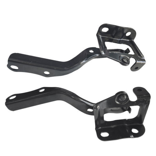 Pair Hood Hinges Left Right Set For Toyota Prius 2010 - 2015 TO1236168 TO1236167