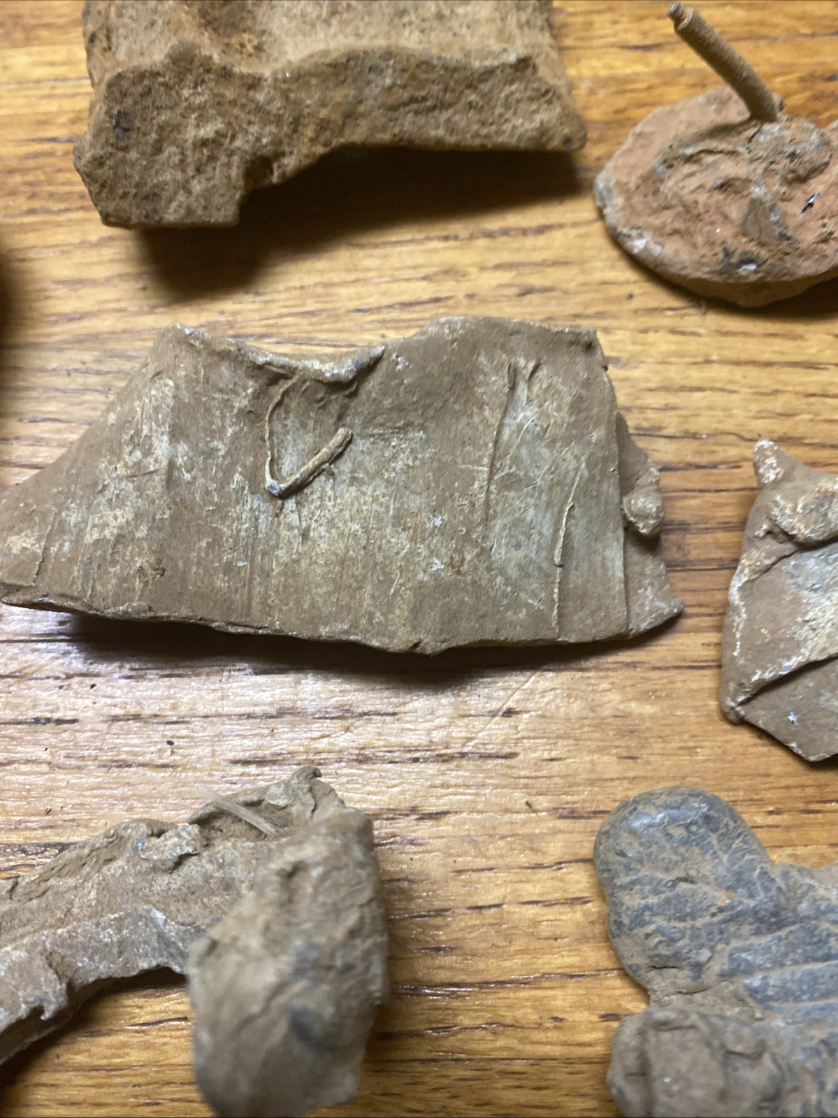 Civil War US Hotchkiss Shell Relics Lead Sabot Pewter Fuse Kennesaw Georgia