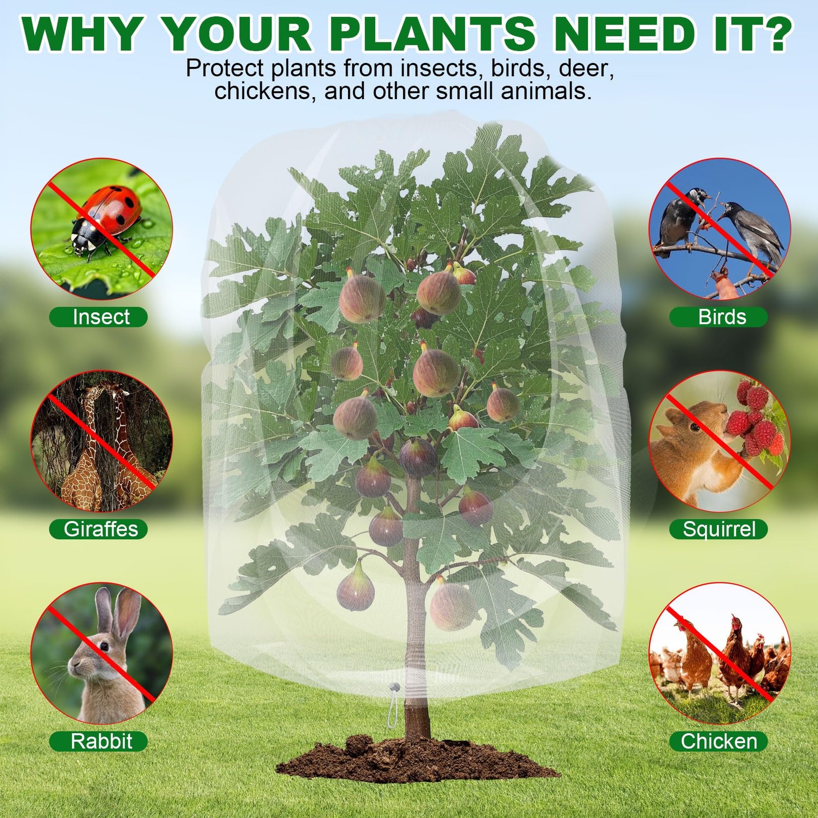 4 Pack Garden Netting for Blueberry Bushes 2.7ftx 3.3ft with Drawstring Garde...