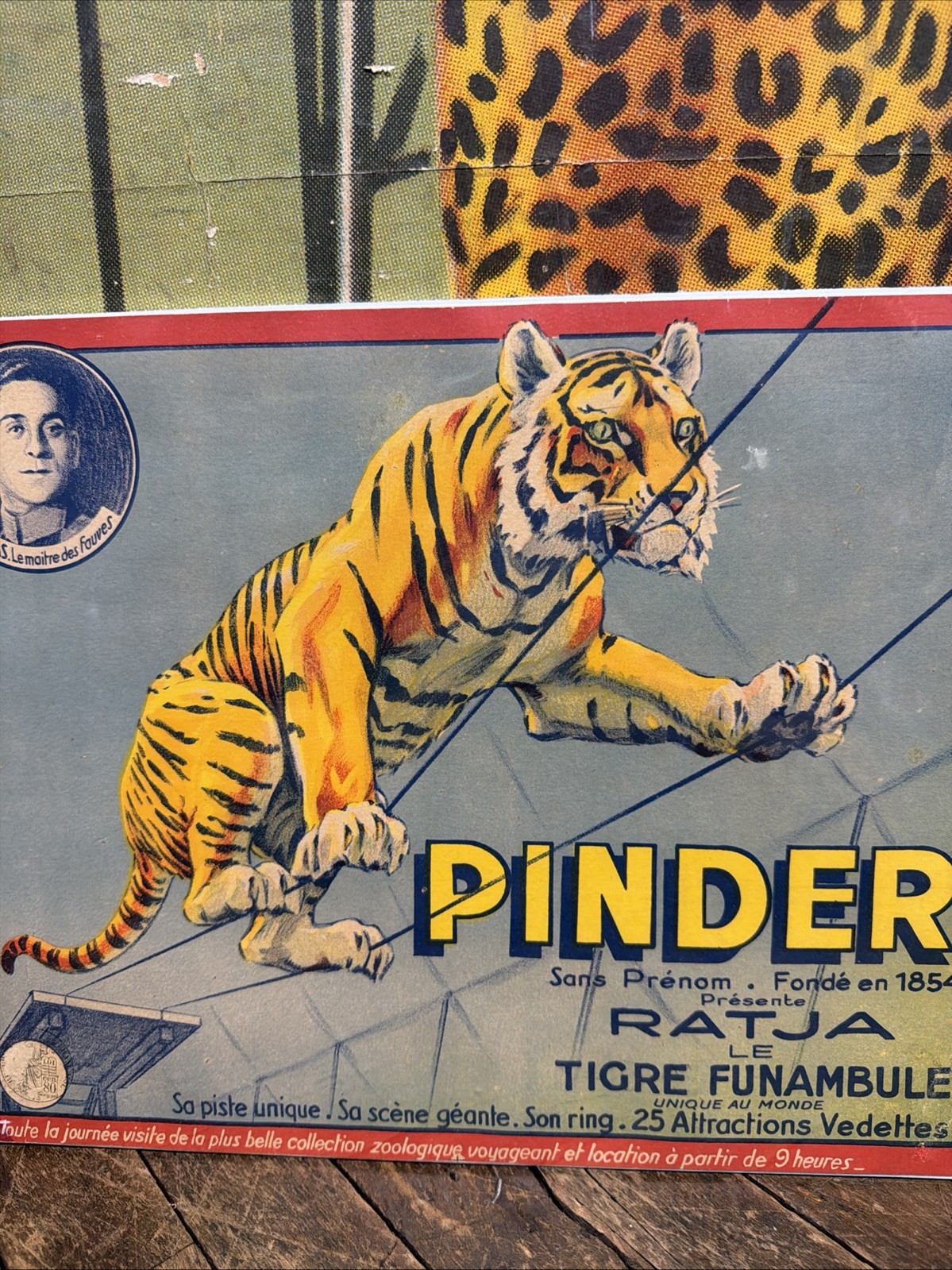 ANTIQUE 1922 PINDER RATJA TIGER TIGHTROPE WALKER CIRCUS POSTER SIGN CARNIVAL ZOO