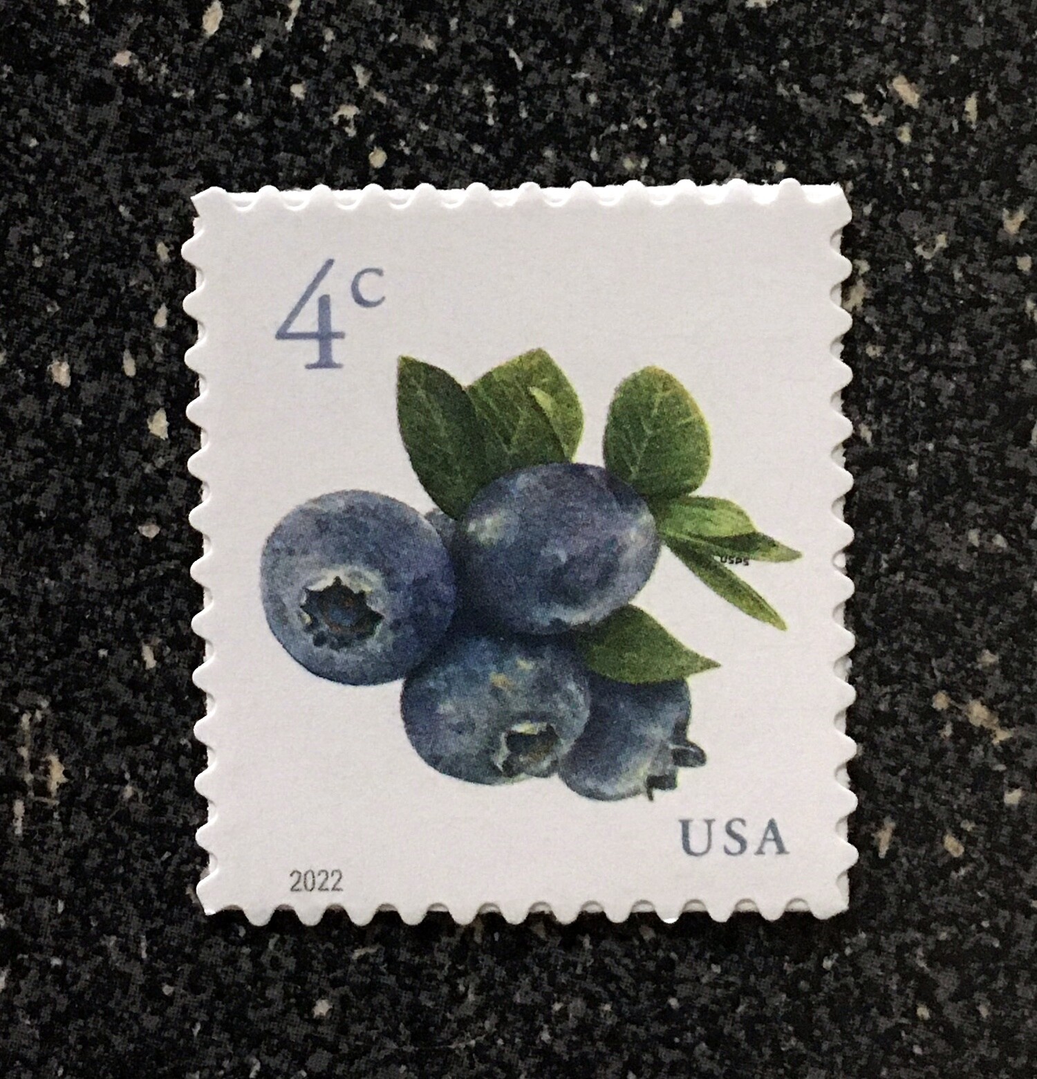 2022USA #5652 4c Blueberries - Sheet Single  Mint NH  blueberry fruit