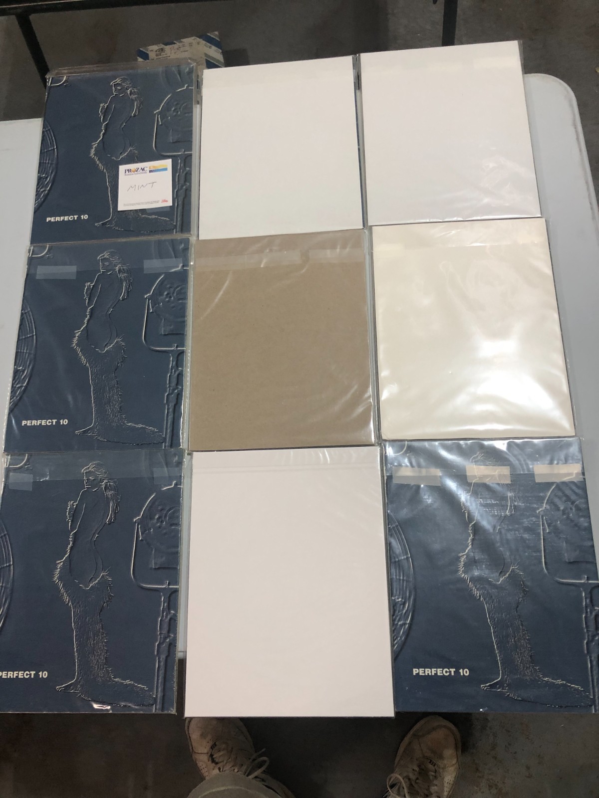 Collectable Perfect 10 Magazines in Near Mint Condition