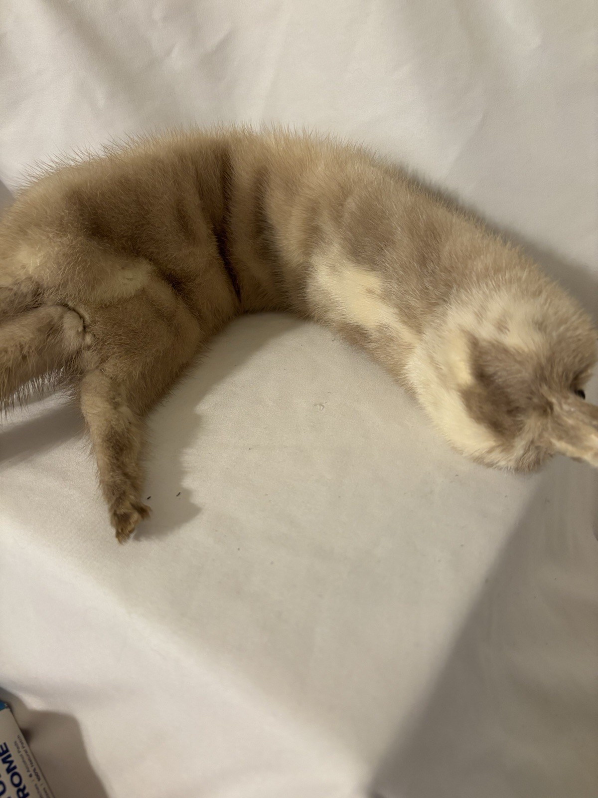 Vintage Mink Fur Whole Body Pelt Stole Collar Wrap ~Total length 25.5 inches