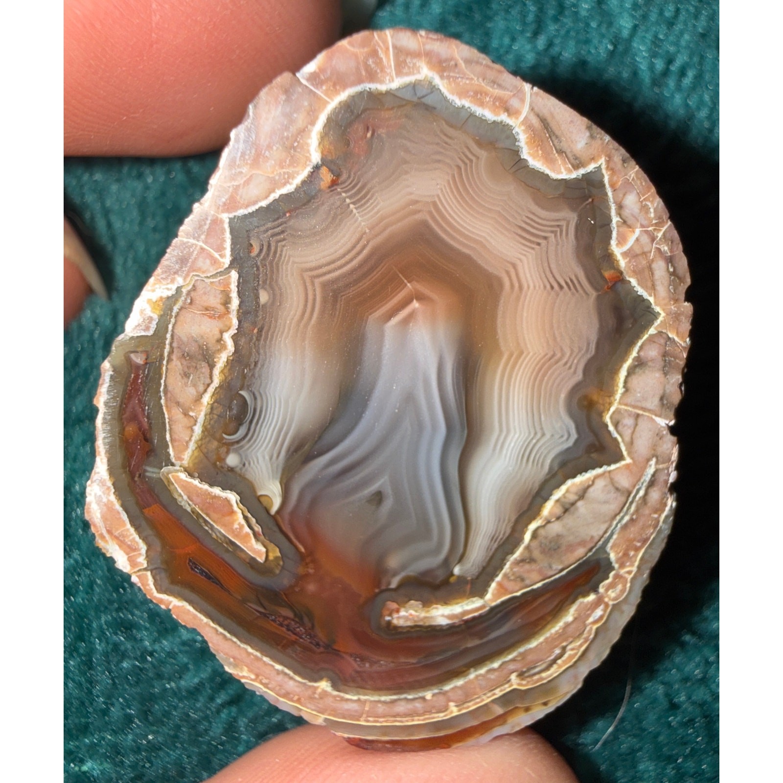 Baker Ranch Thunder Egg Agate Geode Polished Half Nodule Parallax Shadows