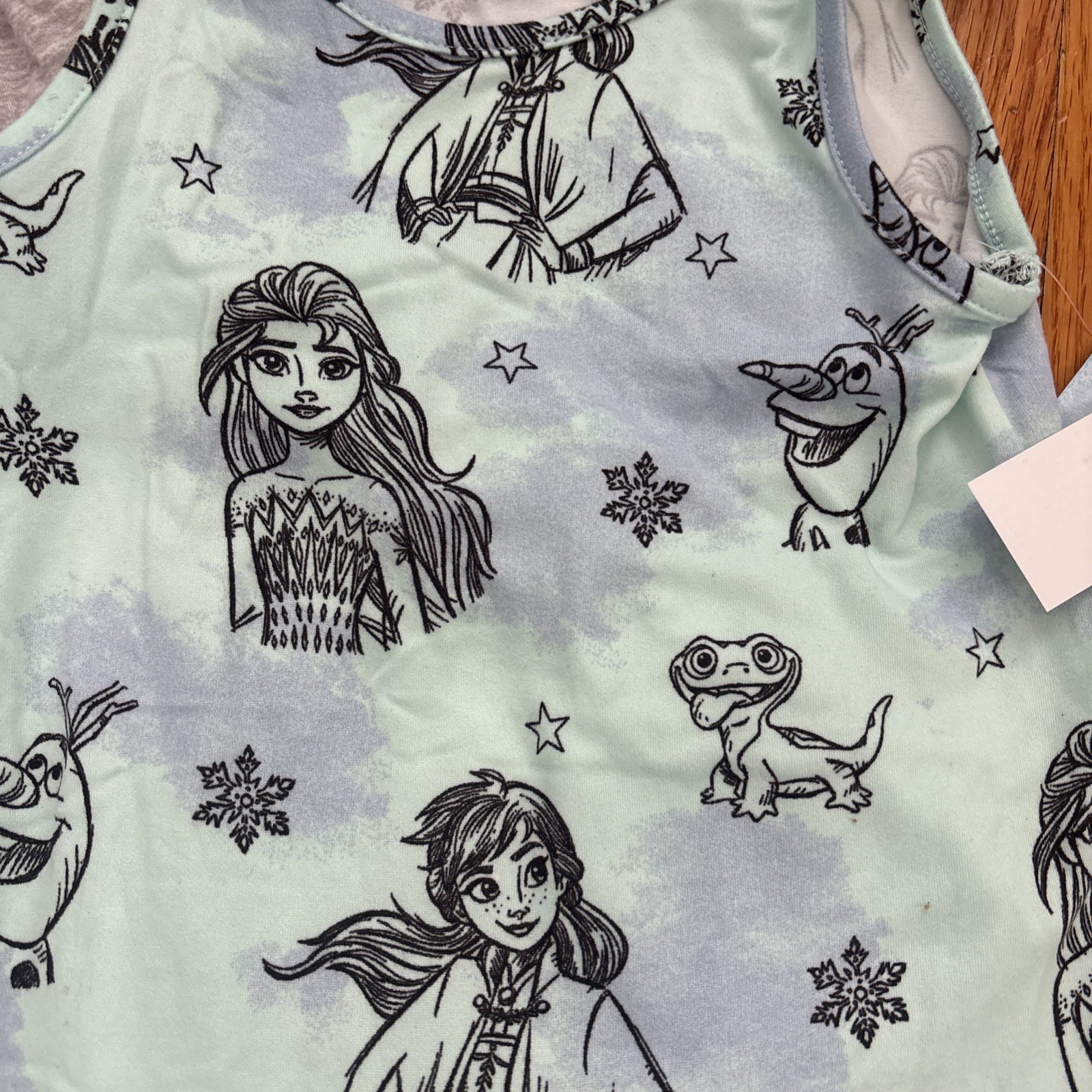 (2) Toddler girls size 2T Disney Princess frozen spring summer dresses