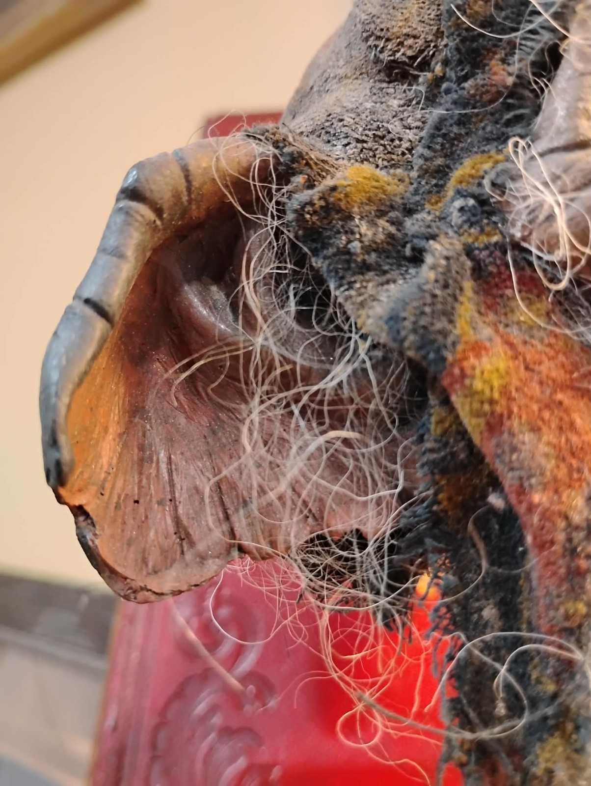 Goblin Mummified Severed Head Handmade Sculpture by Spanish Artist Moise Espina