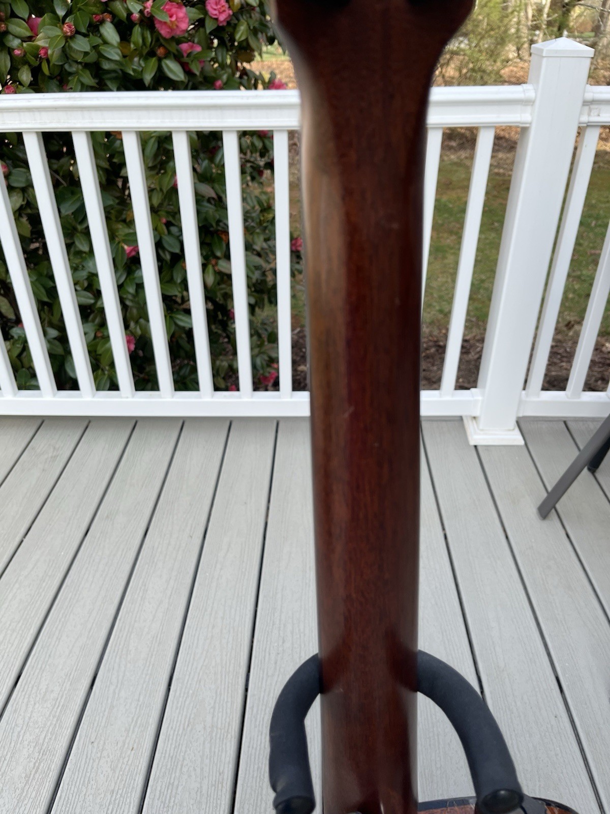 Breedlove concerto copper CE- all solid woods!