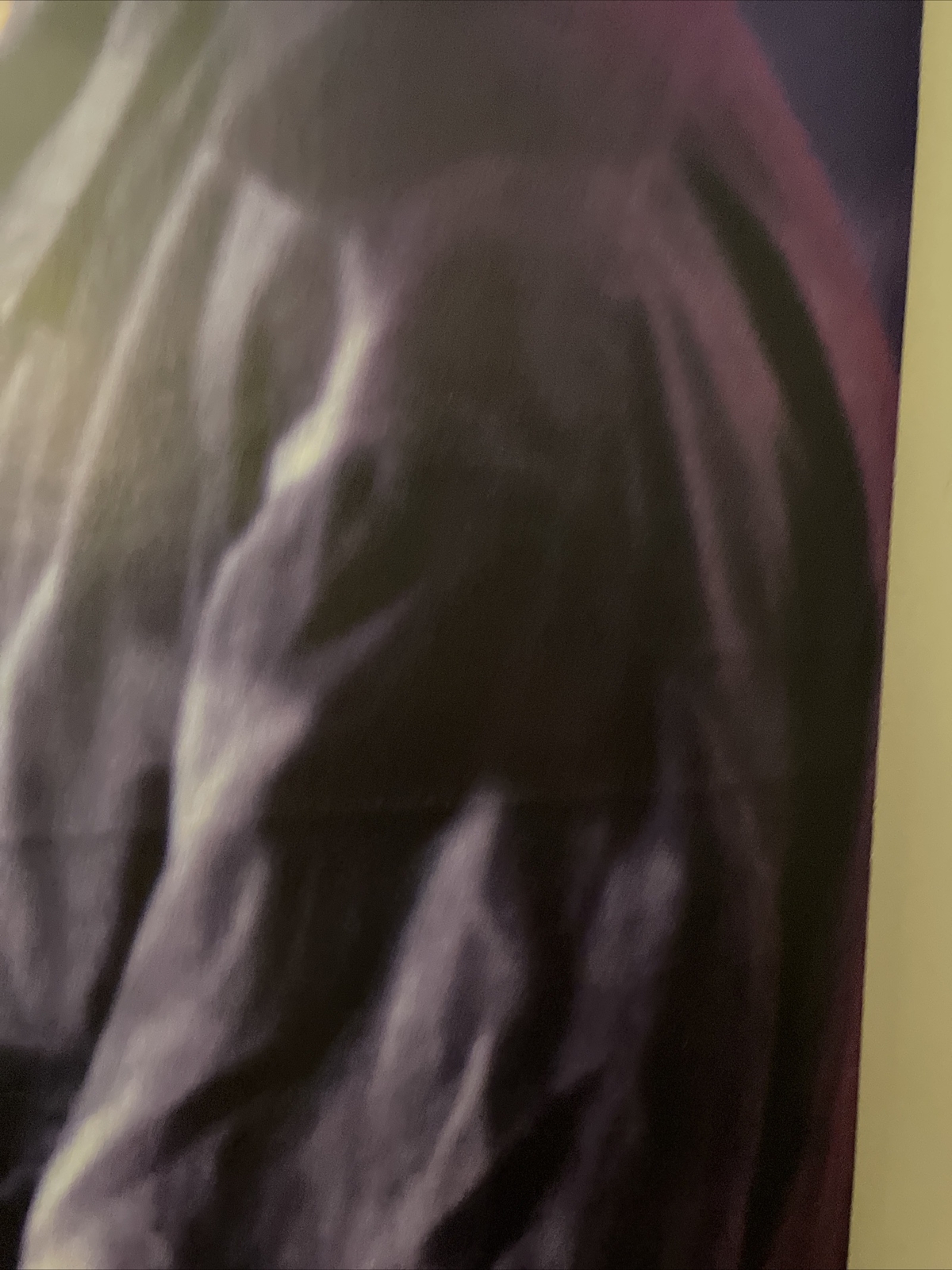 NEIL YOUNG "WELD" U.S. PROMO POSTER 23 X 35 Classic Guitar Rock Music Legend