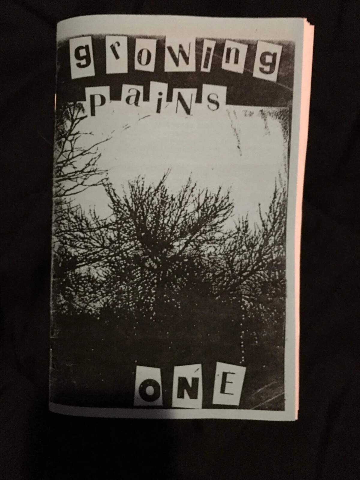 RiotGrrrlPress zine pack #1 RIOT GRRRL ZINES FROM THE 1990S