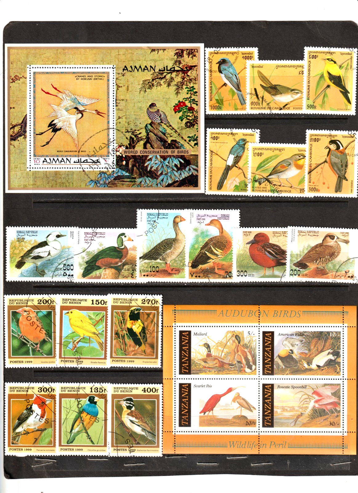 BIRDS = 2 Colorful Deluxe Sheets & 3 Beautiful Complete Sets