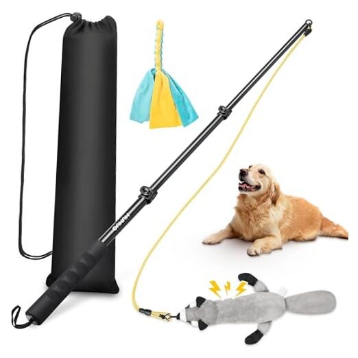Dog Flirt Pole, Retractable Teasing Stick with Lure, Interactive Dog 40 Inch