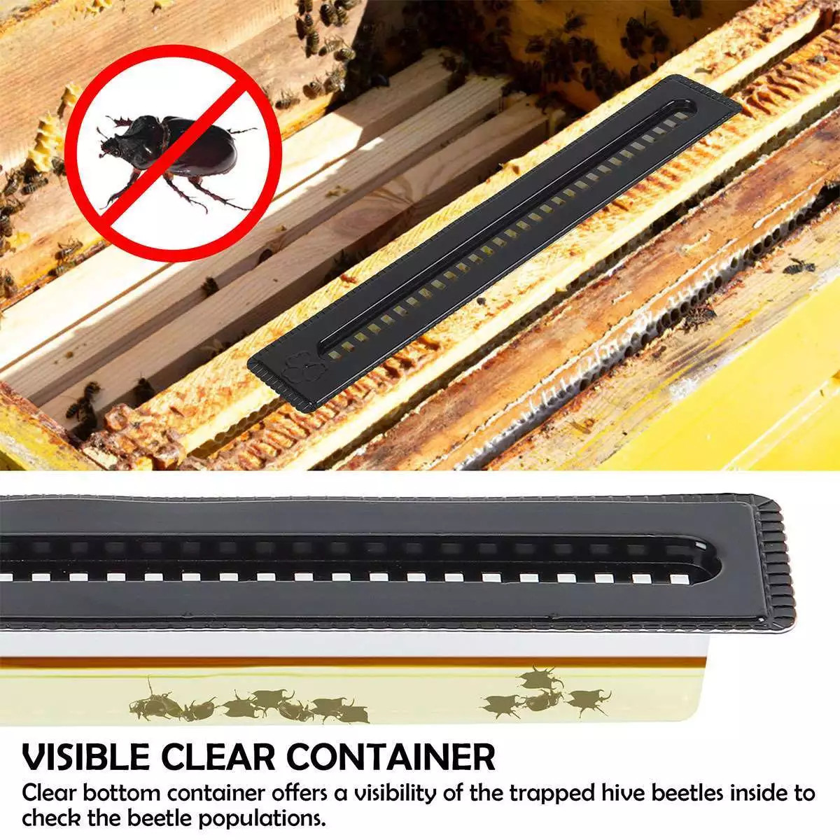 20/40/60×Hive traps Beetle Beekeeping tool For catching small beetles in beehive