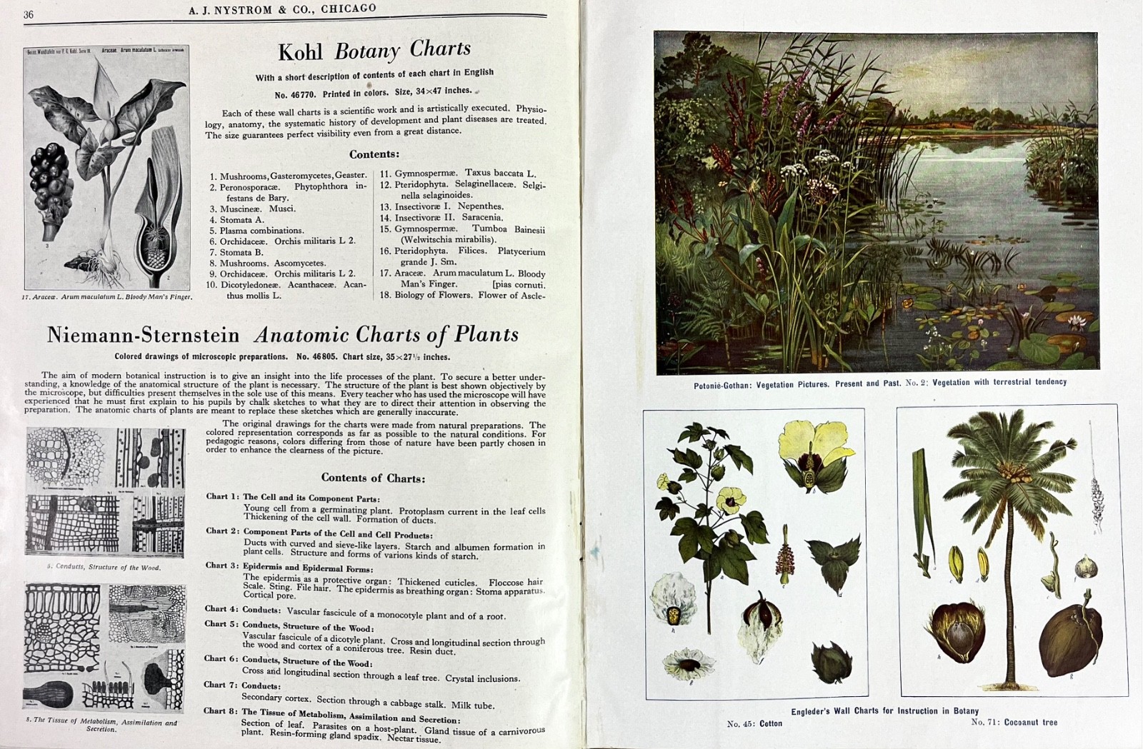 Rare 1928 A.J Nystrom Sales Catalog FB-28 Europe Charts Biology Medical Anatomy