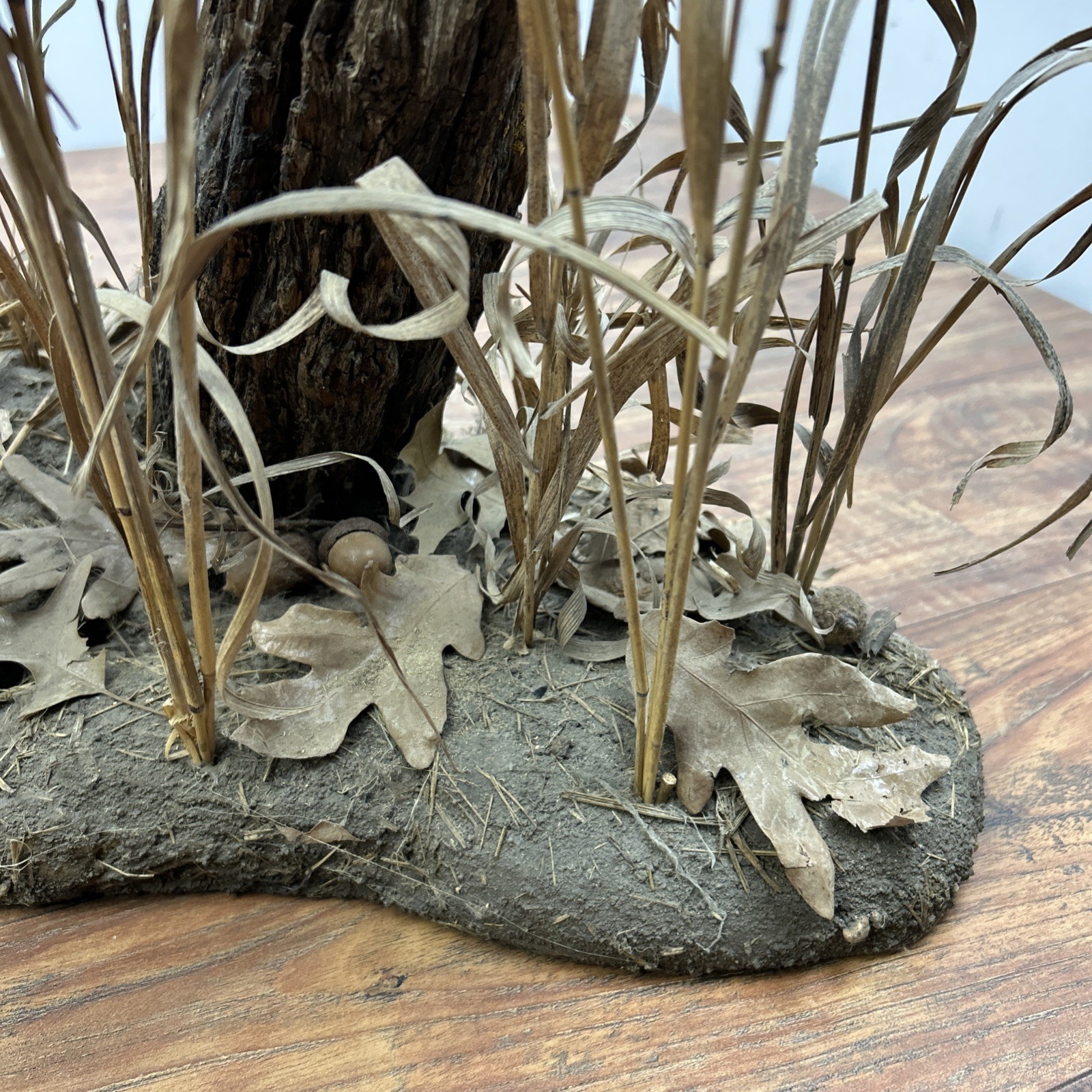 Ringneck Rooster Pheasant Taxidermy Standing Mount Habitat Base Foliage Wood