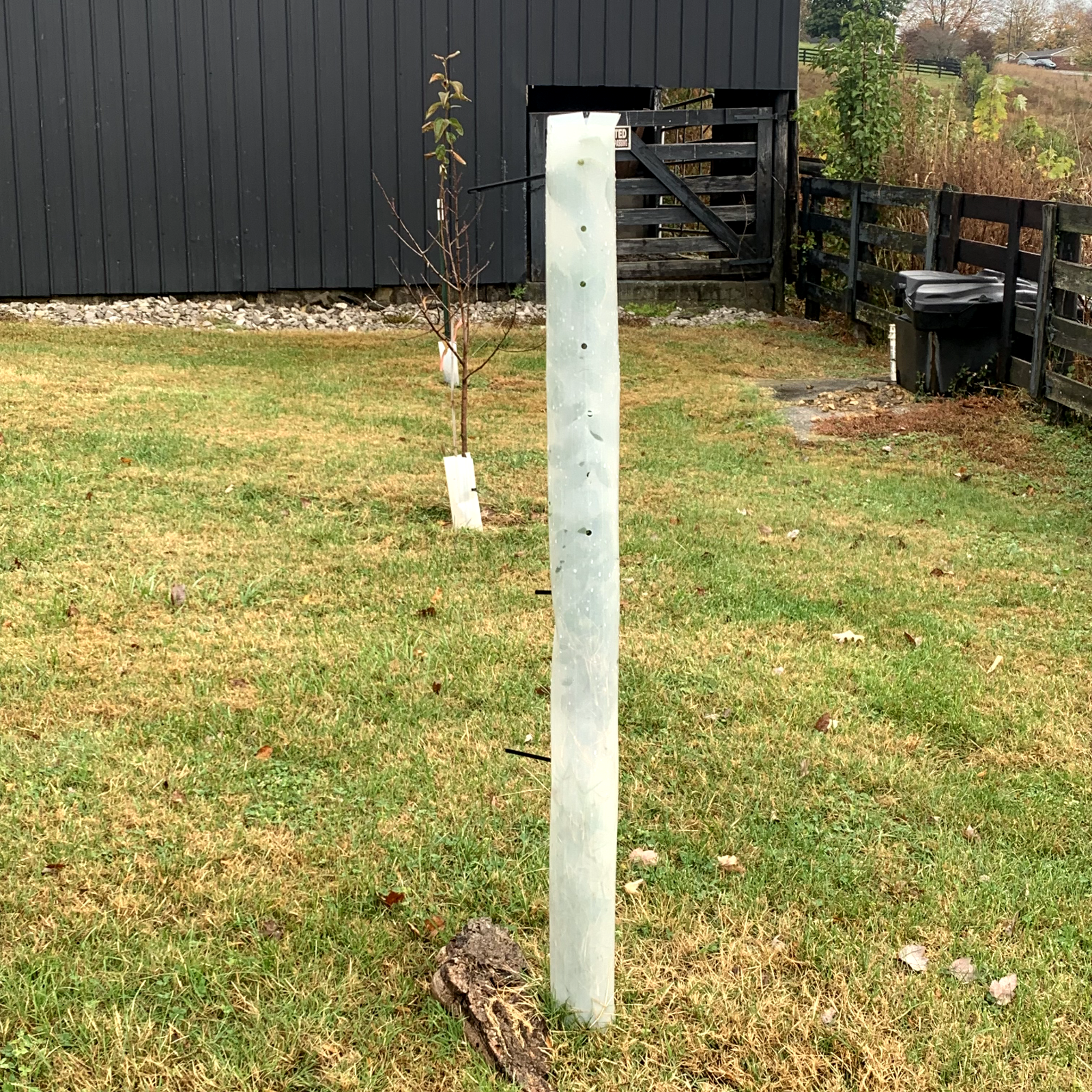 5 USA Made 12"-72" TREE PRO GROWTH SHELTER WILDLIFE GUARD TUBE PROTECTORS-Split