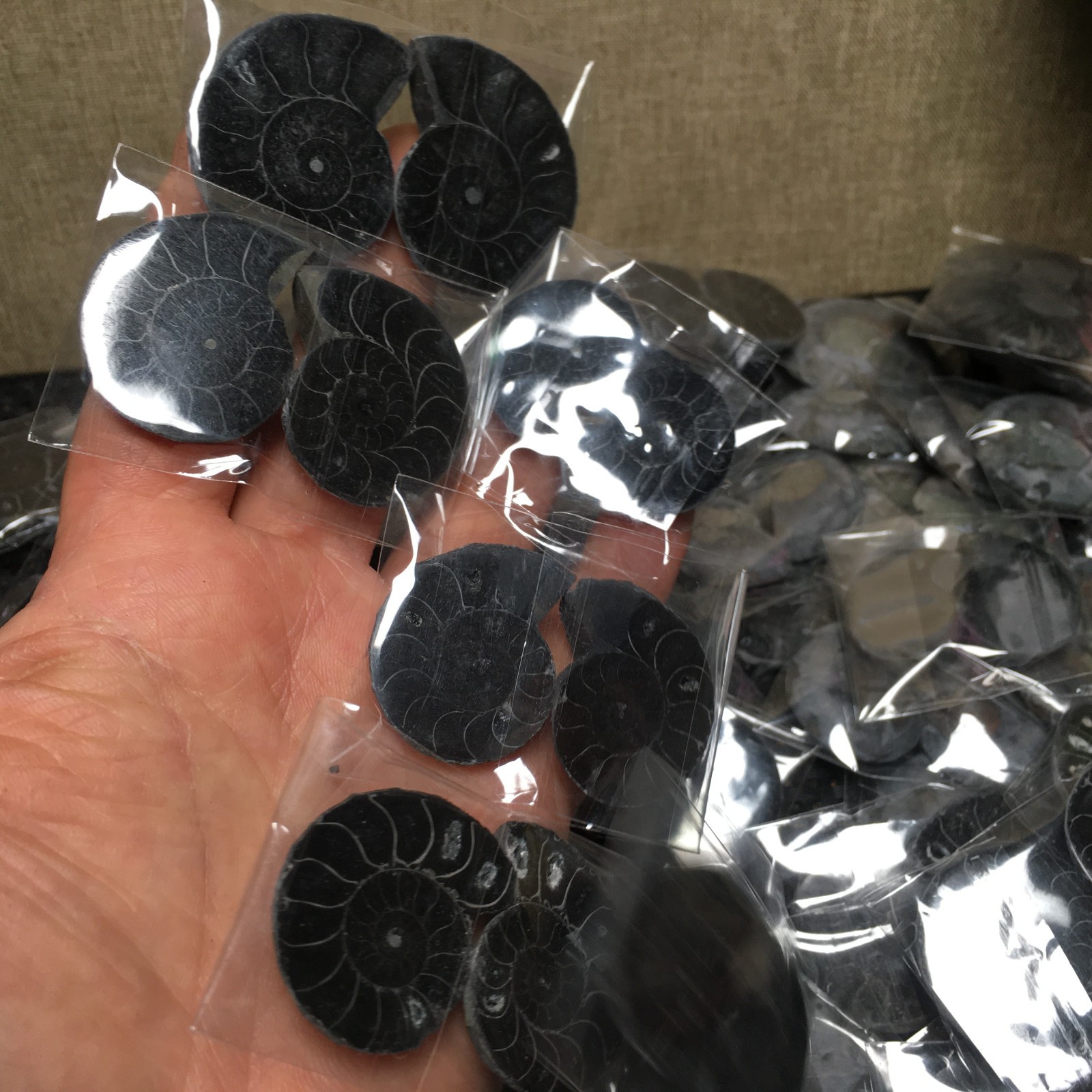 10 Pairs of Split black Stone Carving Home Decorations Specimen Shell Healing