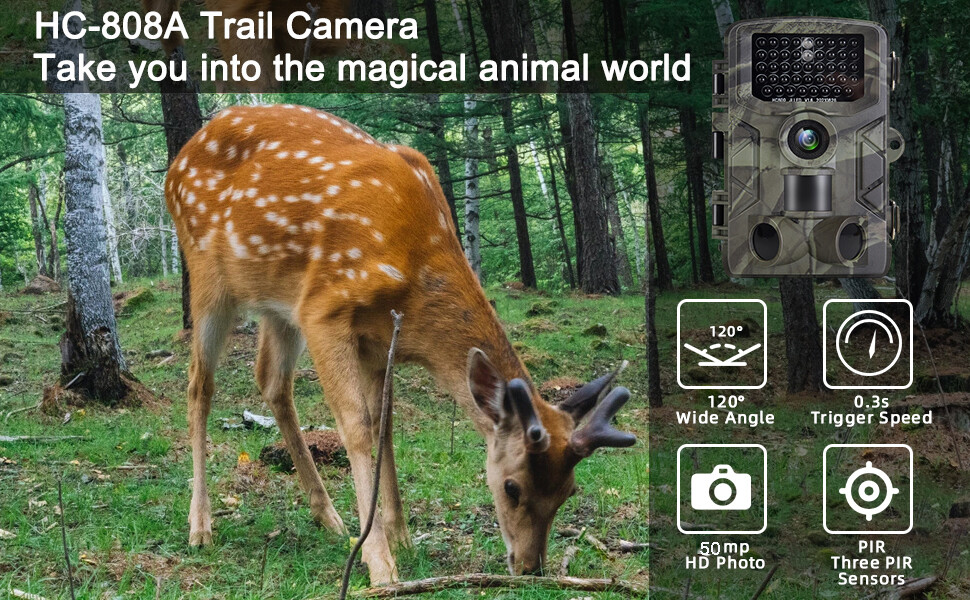 50MP Wildlife Hunting Game Trail Camera 4K Night Vision Motion Activated+32GB