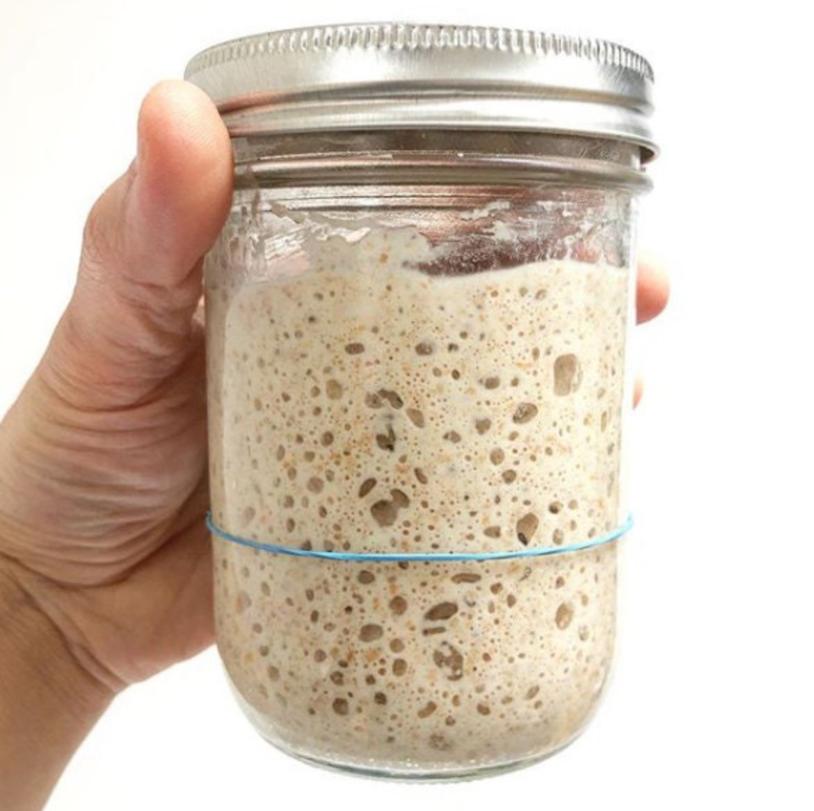 4500 year old Ancient Egyptian Sourdough Starter - Organic Dehydrated Culture