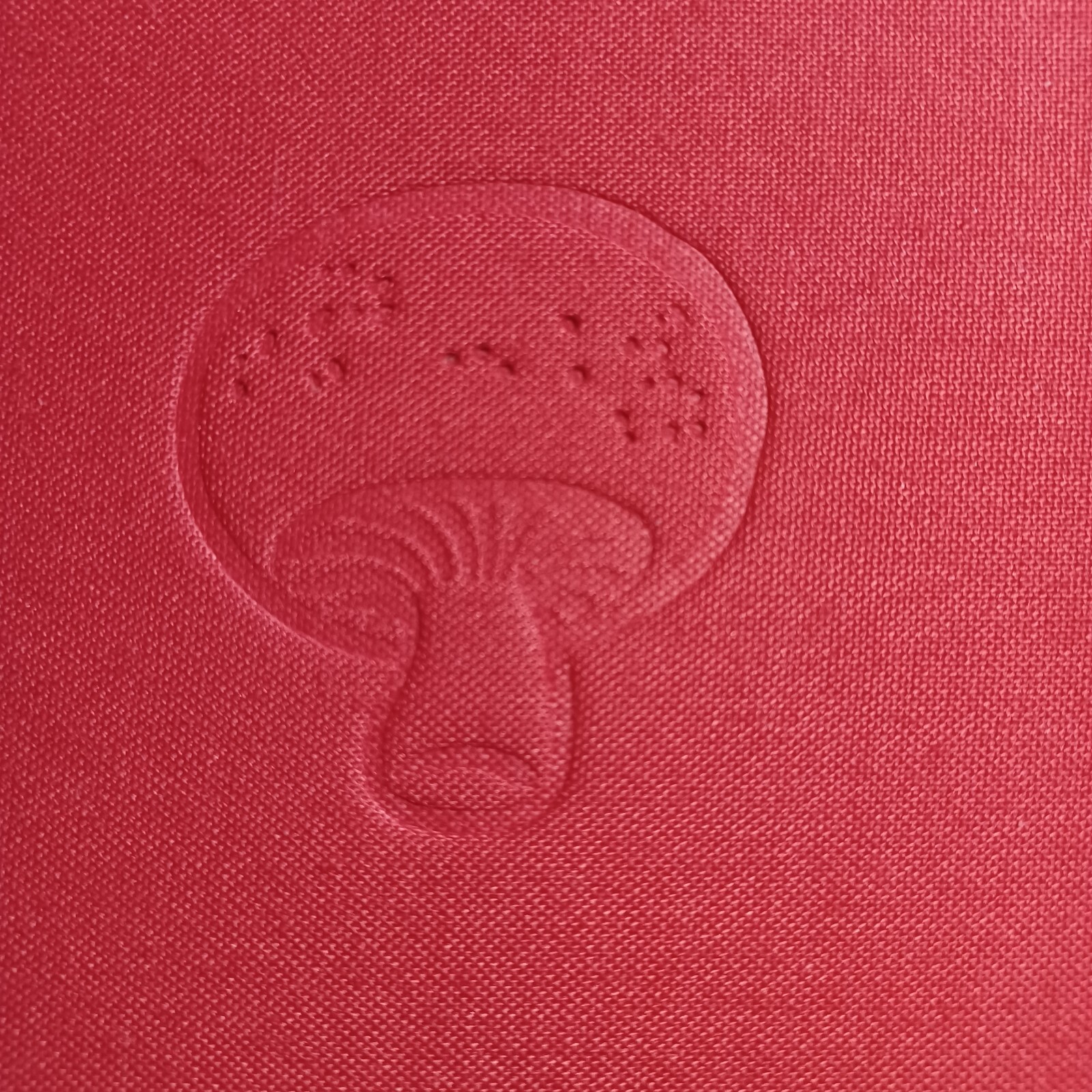 Seconds/Bryan Lee O’Malley Special Edition Signed and Numbered 125/250 BC-TOP