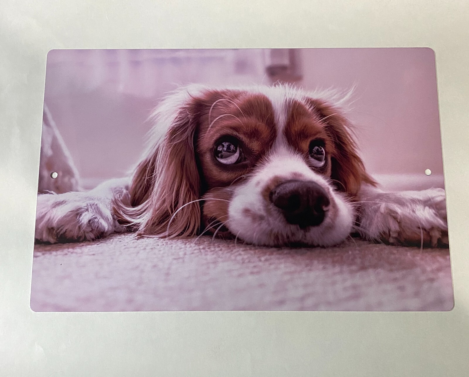 Personalized 8" x 12" Aluminum Metal Sign Customize with Text or Picture