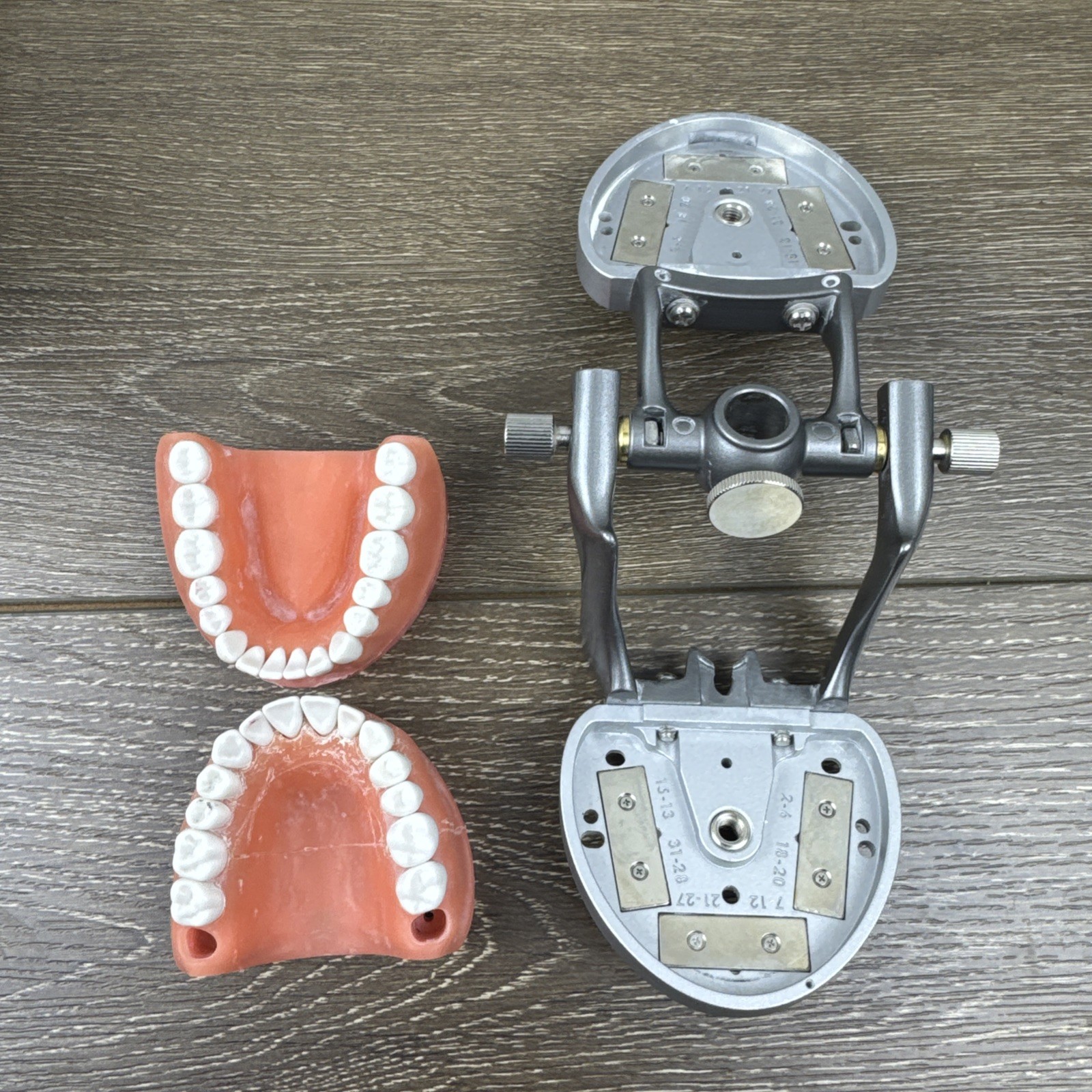 Acadental ModuPRO MP_R320 Restoration Typodont & Case WREB CDCA ADEX Teeth #58