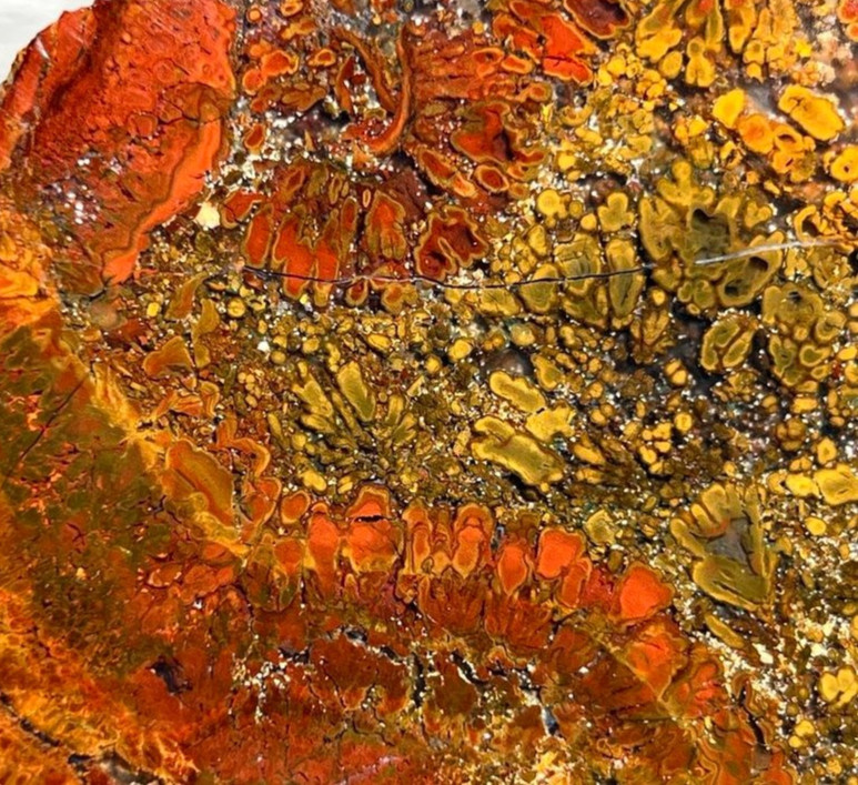 East Java Plume Agate - Indonesia 3.75"x3" High Grade Lapidary Rough Slab