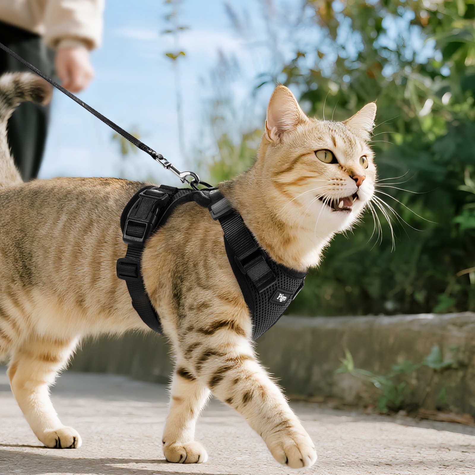 Pigo Cat Harness & Leash Escape Proof Soft Adjustable Vest Breathable Reflective