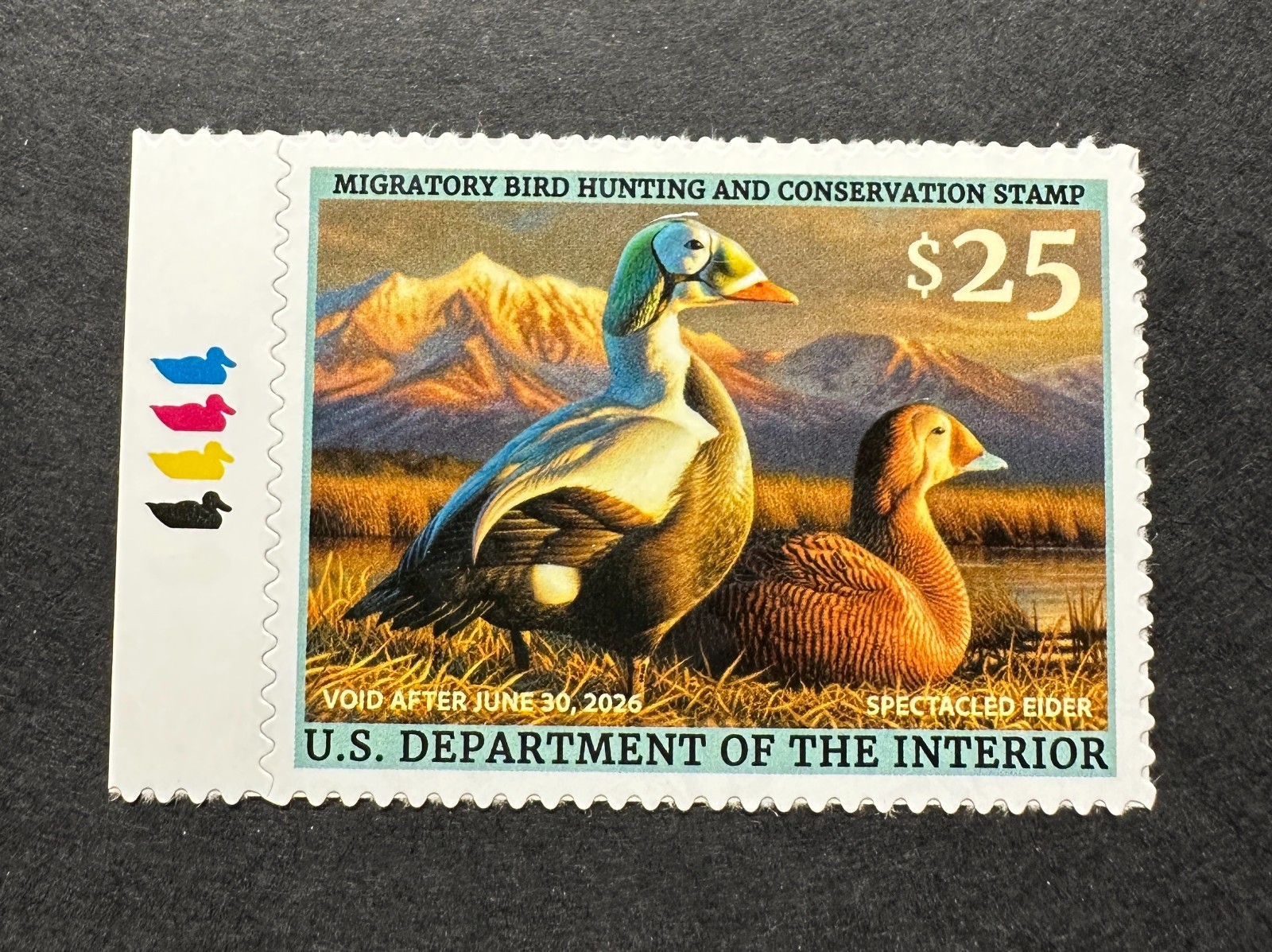 WTDstamps - #RW92 2025 - US Federal Duck Stamp **ADAM GRIMM** Mint OG NH