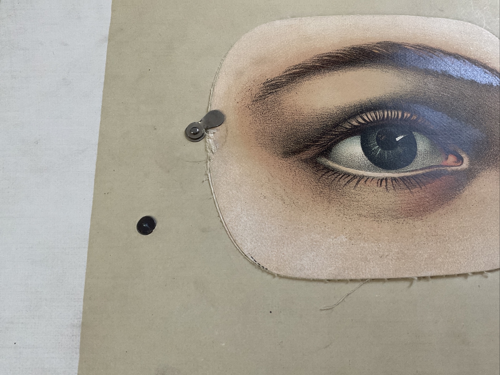 Antique Medical Anatomy Book Embalmer Anatomy Book Binder 1903