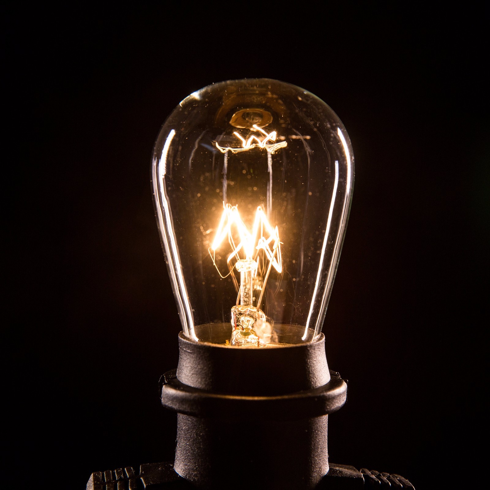 Box of 25 S14 CLEAR 11W E26 Base Commercial String Light Replacement Bulbs