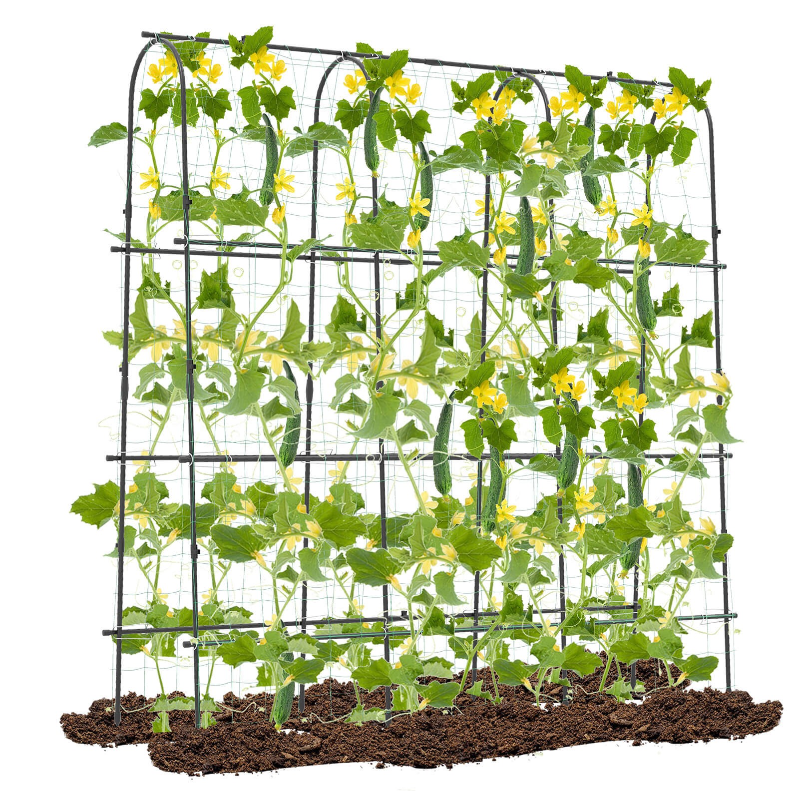 71" x 71" U-Shaped Garden Trellis w/Tear-resistant Netting Sharp Ground Stakes