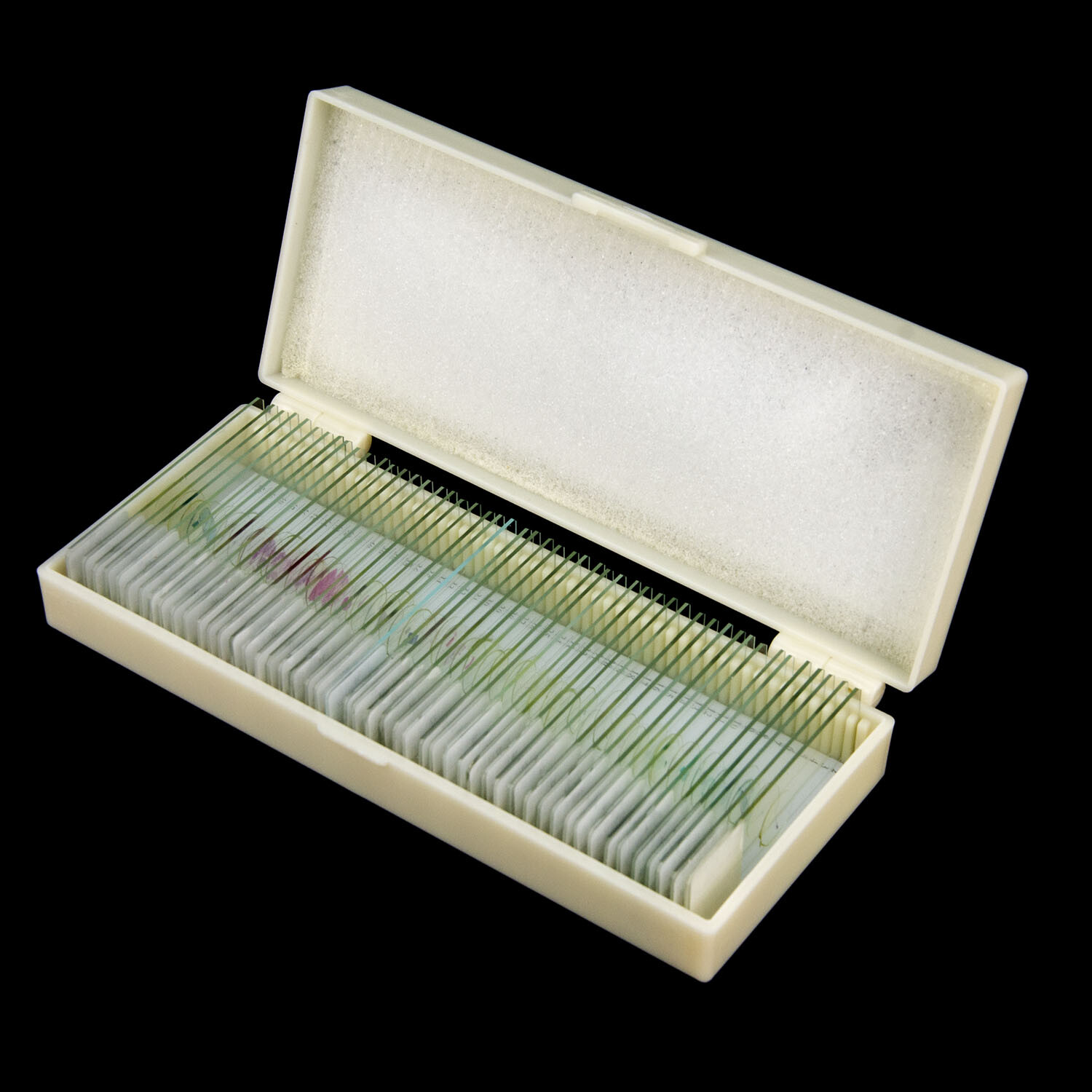 50pcs Glass Prepared Microscope Slides Biological Microscope Specimen Set