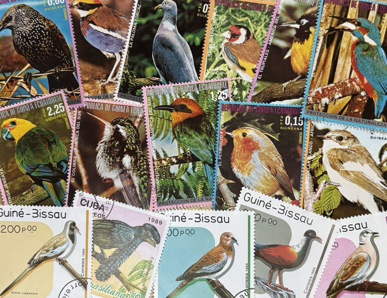 Thematic Stamp Packet - Bird on stamps 200 diff NEW COMPOSITION "A" + Free Gift