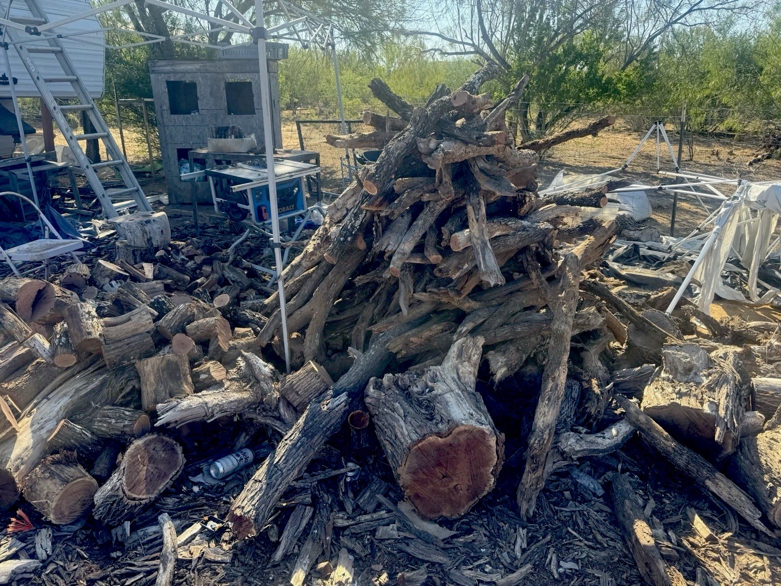 BBQ Mesquite Wood Chunks-Raw Smoking Wood for Grilling Or Smoking. About 28 Lbs