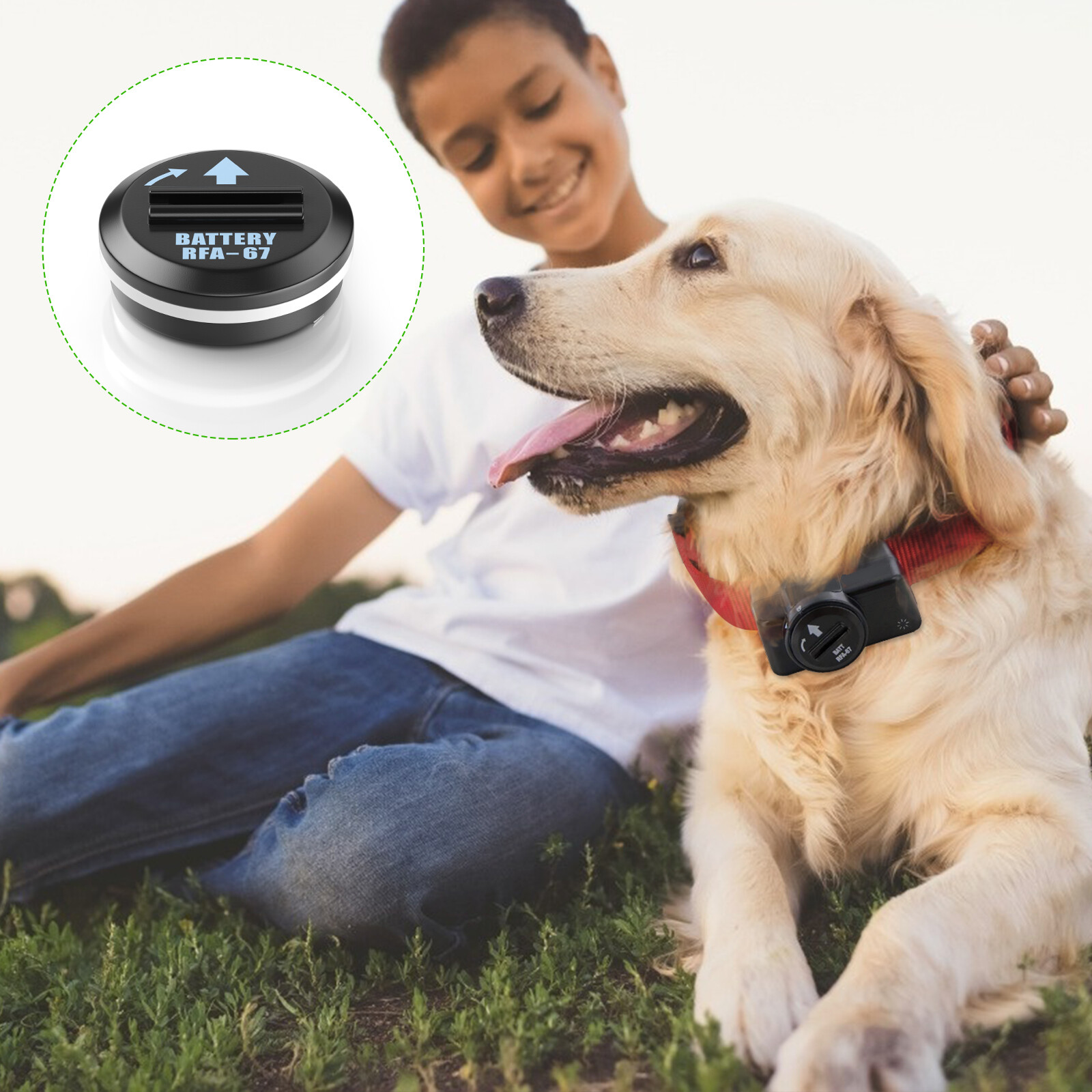 20Pack Compatible RFA-67 6V Pet Dog Collar Replacement Battery For PetSafe