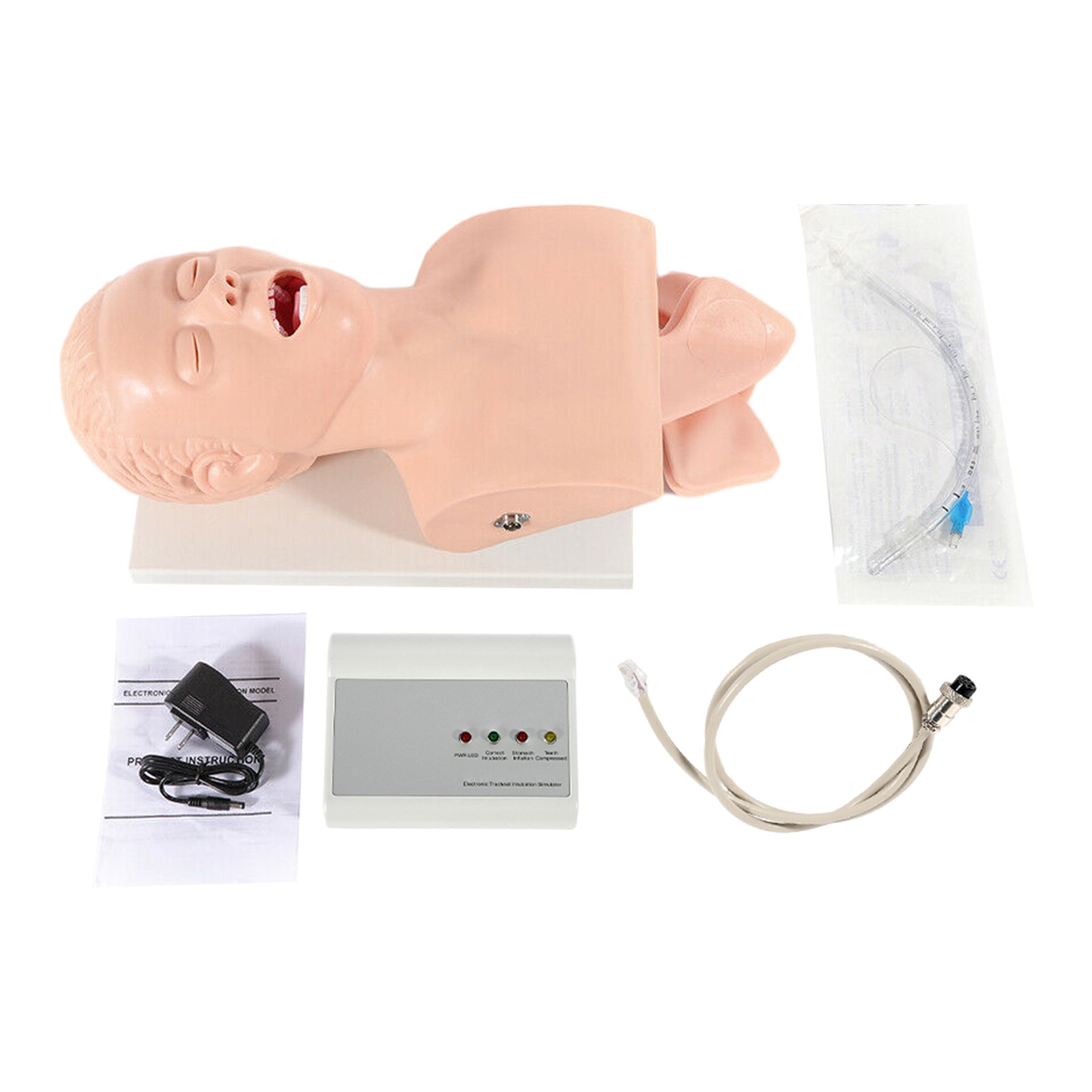 Intubation Manikin Study Teaching Model Adult Airway Management Trainer 110V
