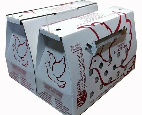 Live Bird Shipping Boxes *Vented* Chicken Shipping USPS Approved Economy Size