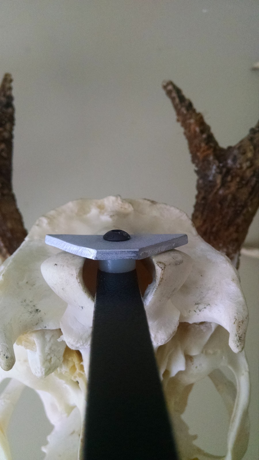 European Skull Mount Bracket with magnetic sheet metal cover plate Skull Hook