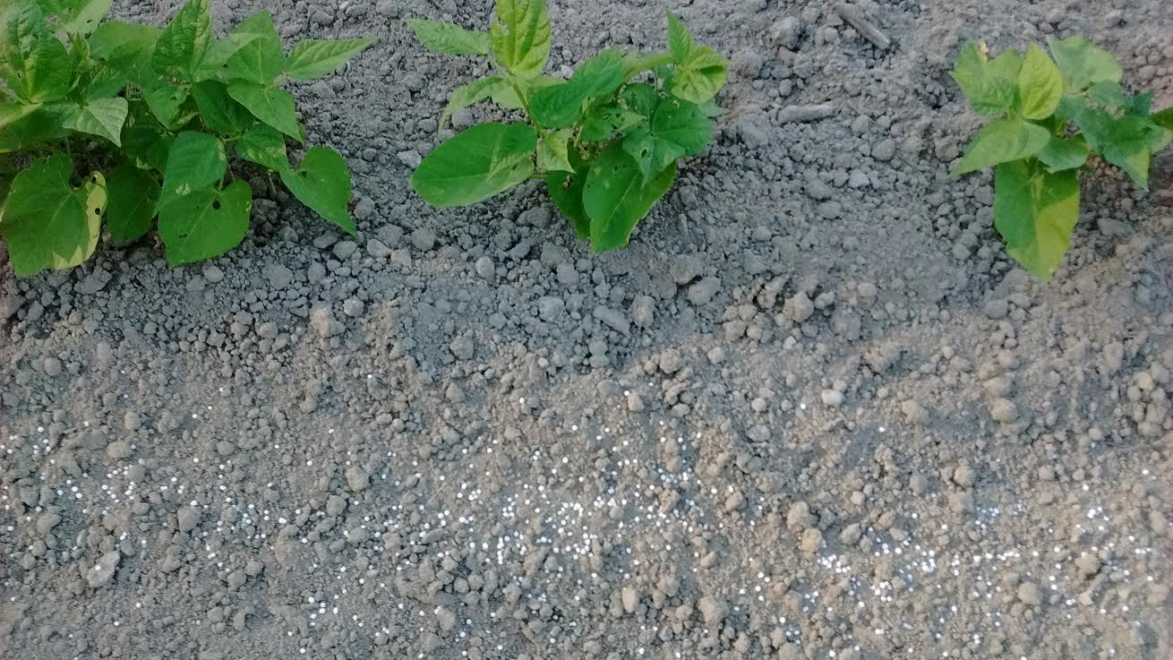 Urea 46-0-0 Prilled Commercial Grade 99.9 % Pure