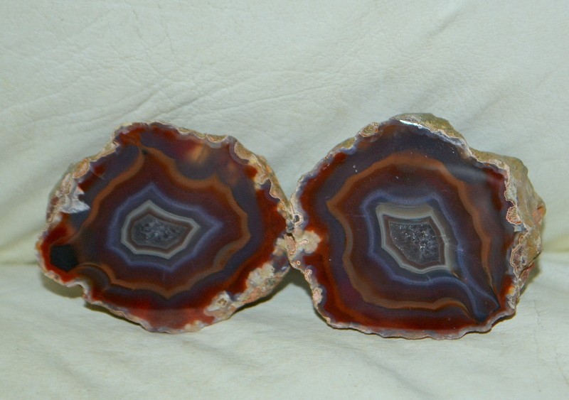 10 pcs Lot Pair Condor Agates from Argentina Wholesale Bulk *