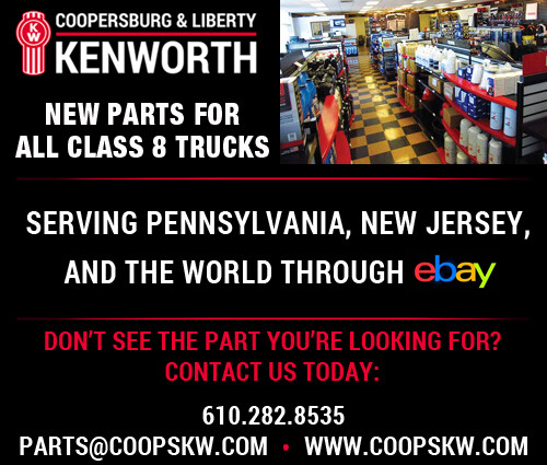 ~NEW PACCAR KENWORTH HEADLAMP SYMBOL DASH INSERT INDICATOR LAMP ID ~ P54-1032-66